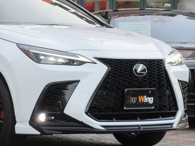 LEXUS NX - 6