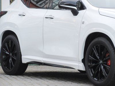 LEXUS NX - 10