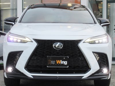 LEXUS NX - 3