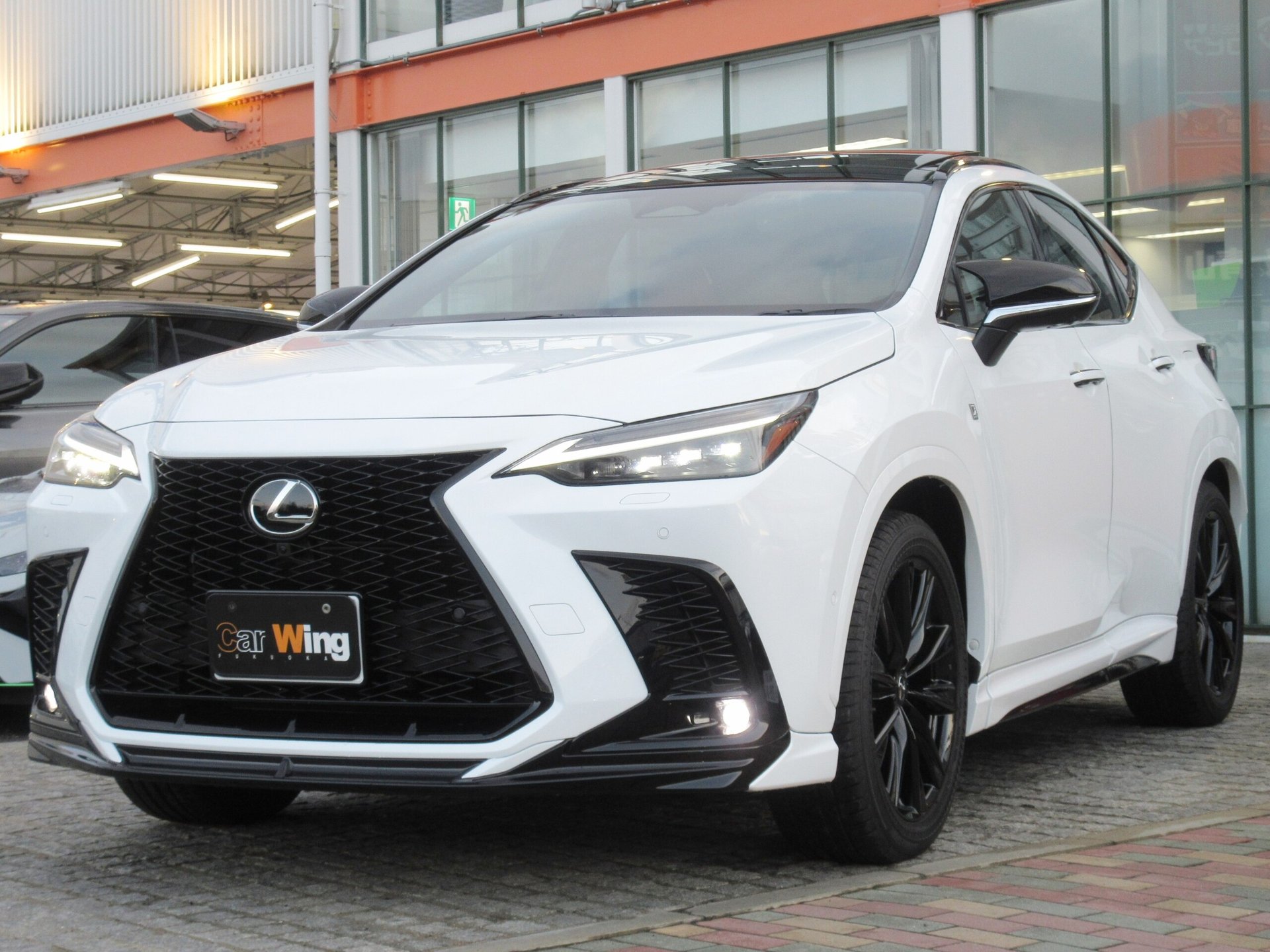LEXUS NX - View 1