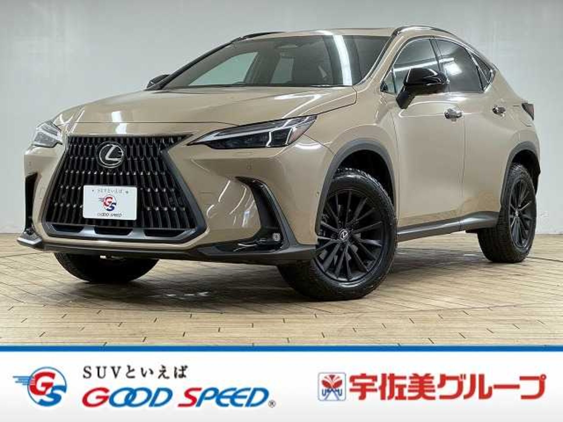 LEXUS NX - View 1