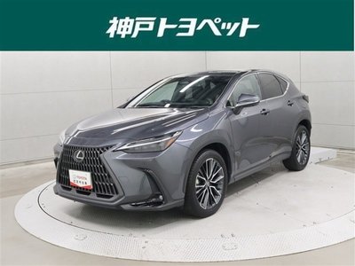 LEXUS NX - 1