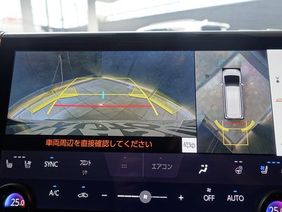 2025 Toyota ALPHARD thumbnail 46