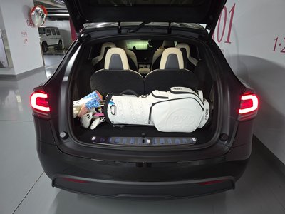 2026 Tesla MODEL X — фото 7