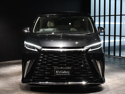 2024 Lexus LM — фото 50