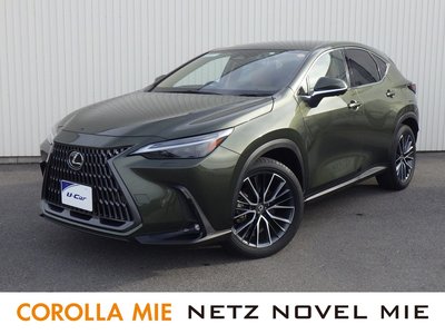 LEXUS NX - 1