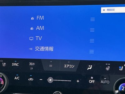 2024 TOYOTA ALPHARD 照片 6