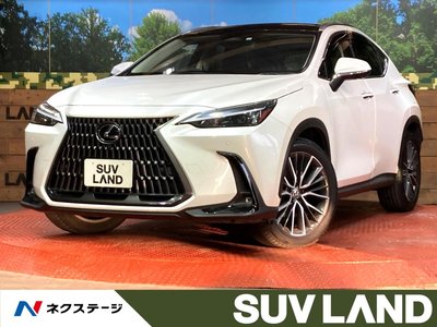 LEXUS NX - 1