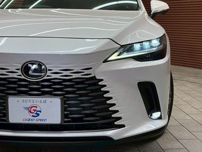 LEXUS RX - 10