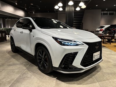 LEXUS NX - 1