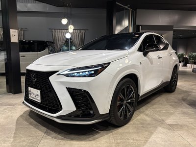 LEXUS NX - 9