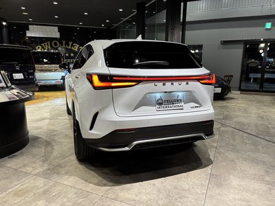 LEXUS NX - 10
