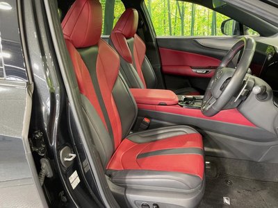 2023 Lexus NX 照片 8