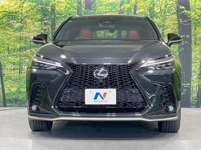 2023 Lexus NX — миниатюра 14