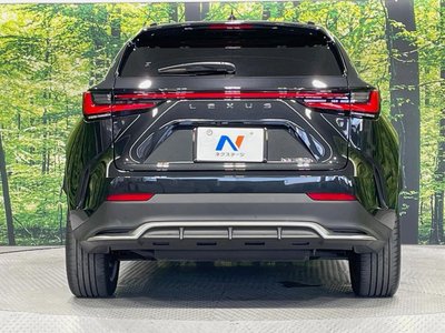 2023 Lexus NX — миниатюра 15