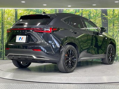 2023 Lexus NX — миниатюра 17