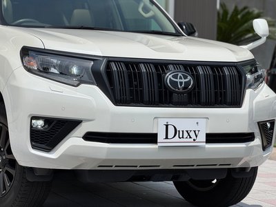 2023 Toyota LAND CRUISER PRADO 缩略图 16