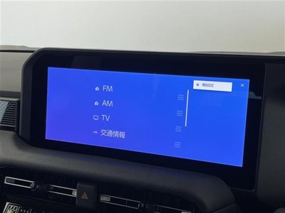 TOYOTA LAND CRUISER 250 - 6