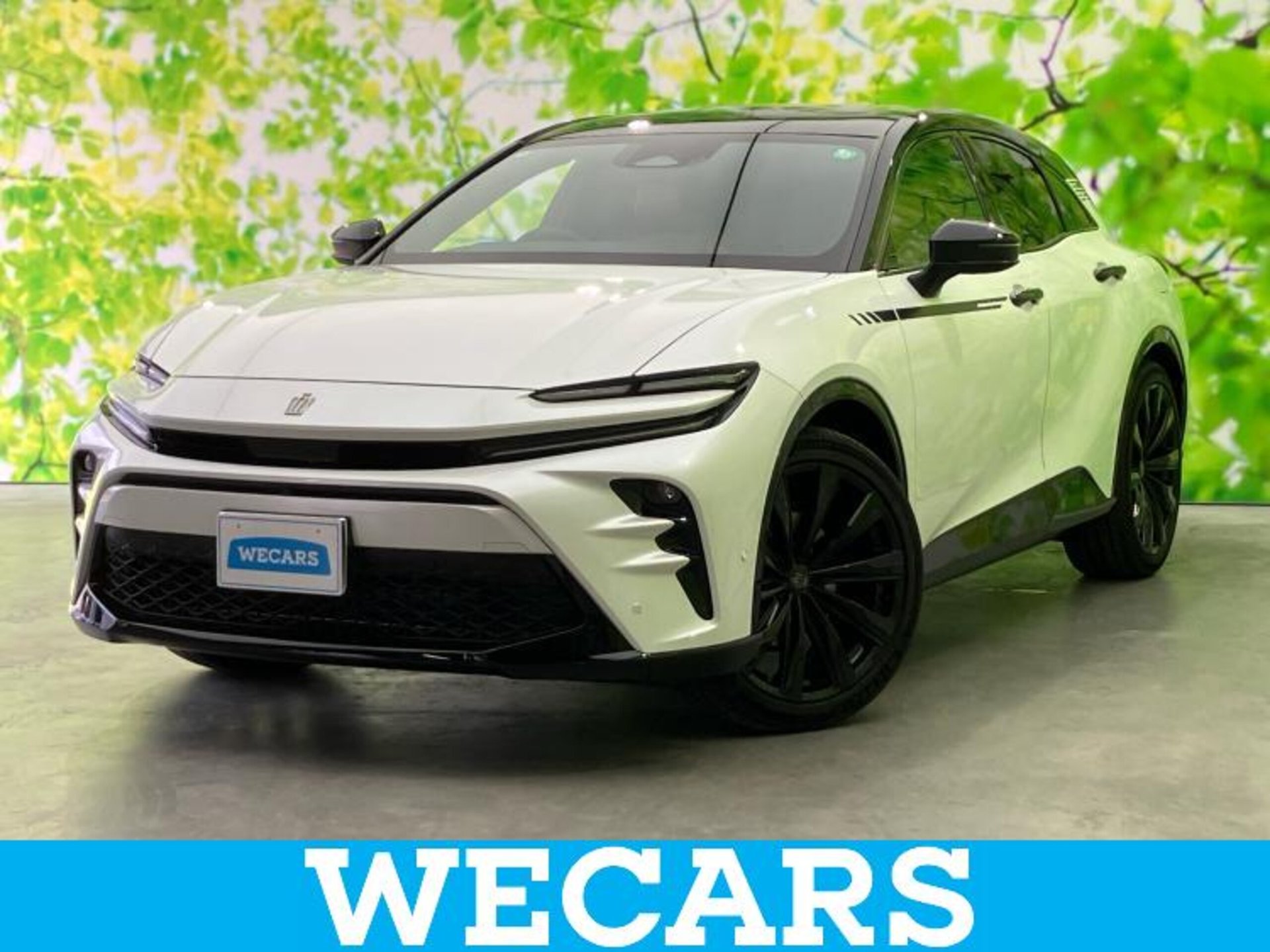 TOYOTA CROWN SPORT - View 1