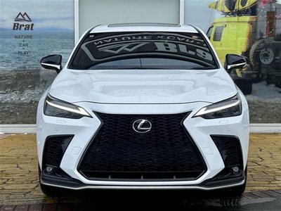 LEXUS NX - 2