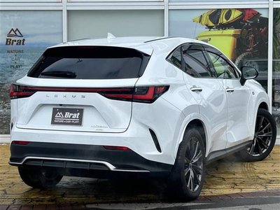 LEXUS NX - 8