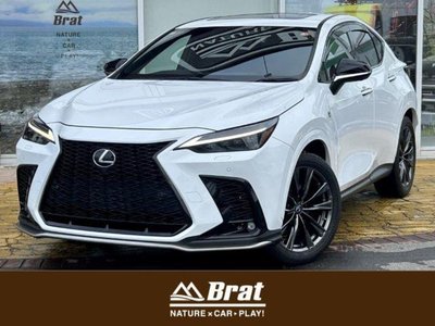 LEXUS NX - 1