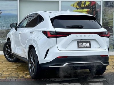 LEXUS NX - 6