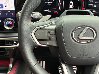 صورة مصغرة 30 لـ 2025 Lexus RX