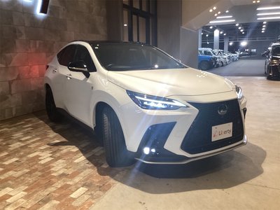 LEXUS NX - 6