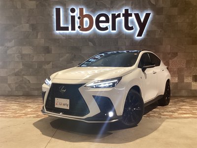 LEXUS NX - 1