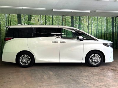 2025 TOYOTA ALPHARD 缩略图 29