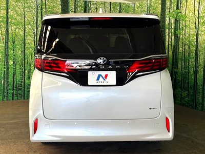 2025 TOYOTA ALPHARD 缩略图 12