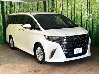 2025 TOYOTA ALPHARD 缩略图 13