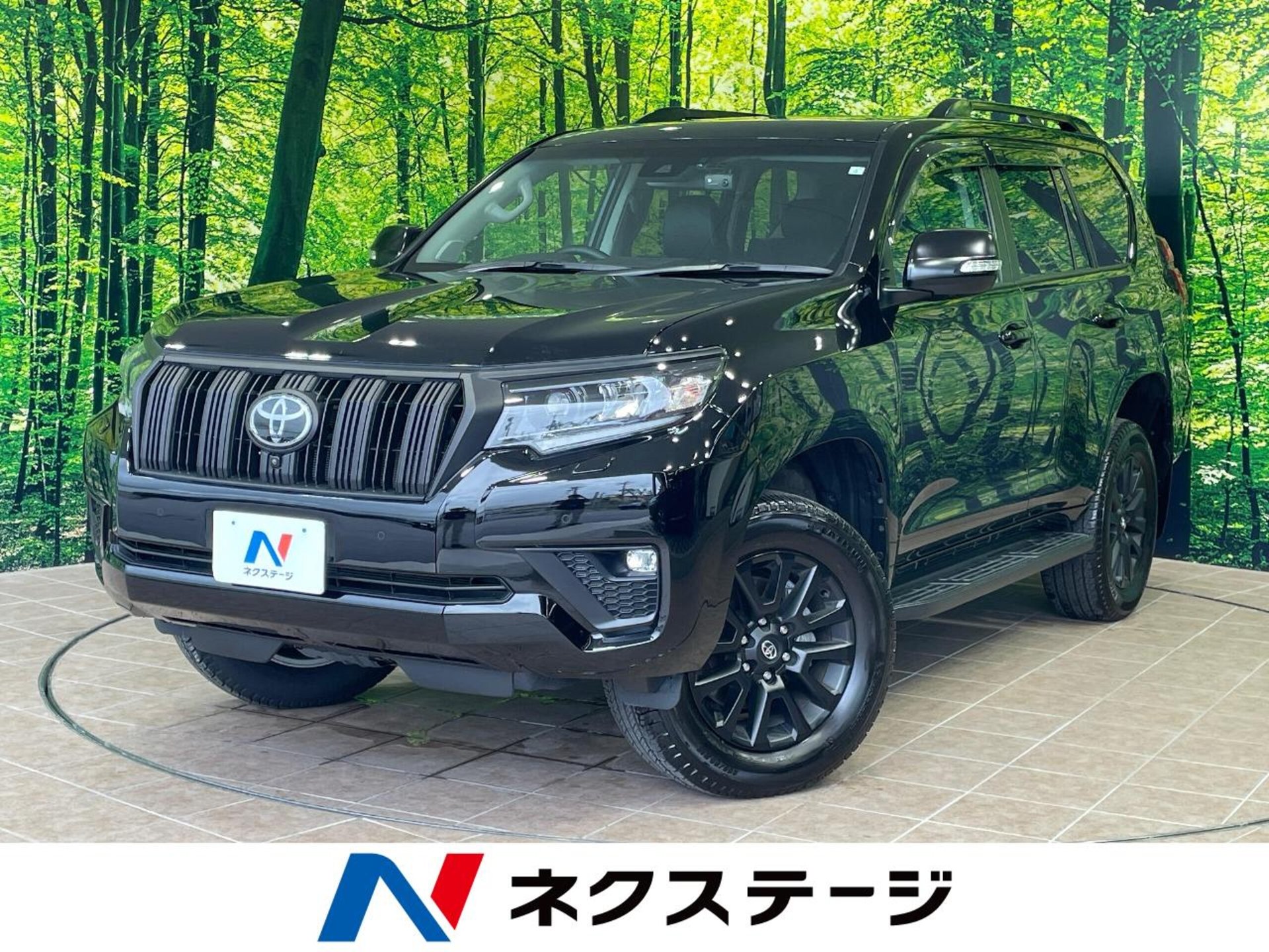 TOYOTA LAND CRUISER PRADO - View 1