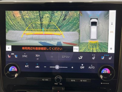 2024 Toyota ALPHARD 照片 5