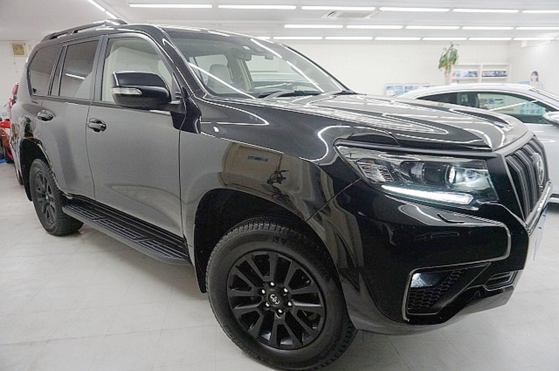 TOYOTA LAND CRUISER PRADO - View 1