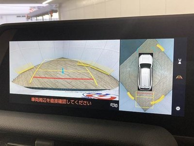 TOYOTA LAND CRUISER 250 - 4