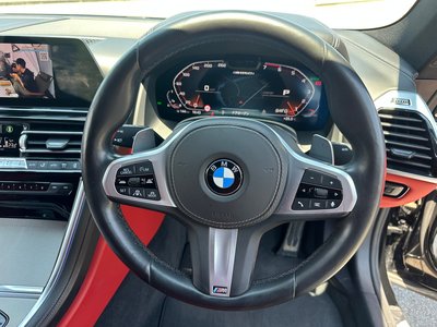 2021 BMW 8 SERIES 缩略图 29