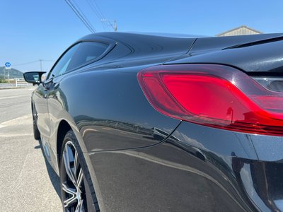 2021 BMW 8 SERIES 缩略图 14