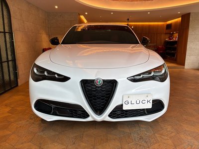 2025 ALFA Romeo STELVIO 照片 3