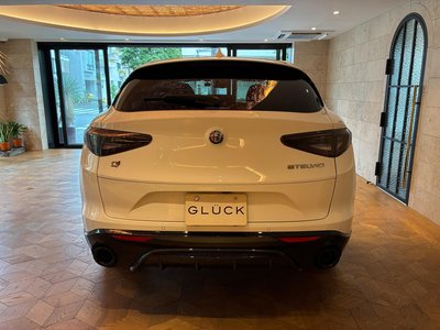 2025 ALFA Romeo STELVIO 照片 6