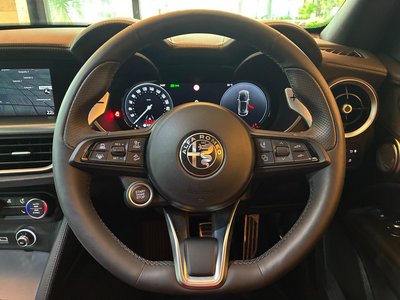 2025 ALFA Romeo STELVIO 照片 10