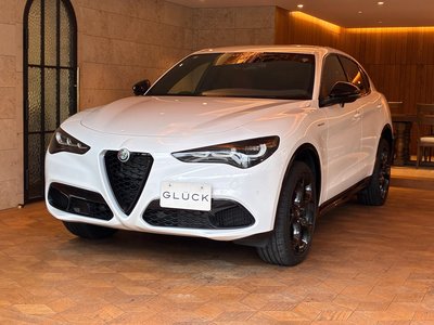 2025 ALFA Romeo STELVIO 照片 1