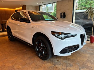 2025 ALFA Romeo STELVIO 照片 8