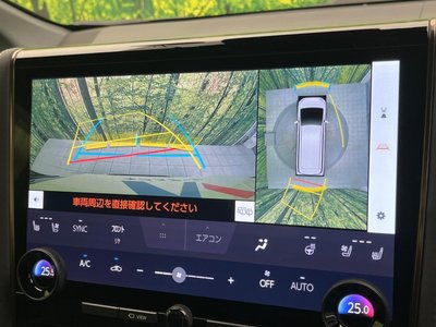 TOYOTA ALPHARD - 7