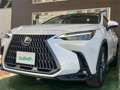 LEXUS NX - 6