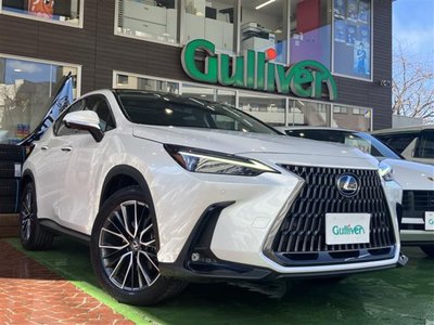 LEXUS NX - 1