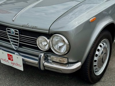 1967 ALFA Romeo JULIA 照片 25