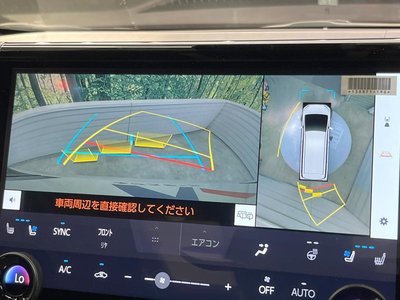2025 TOYOTA ALPHARD 照片 6
