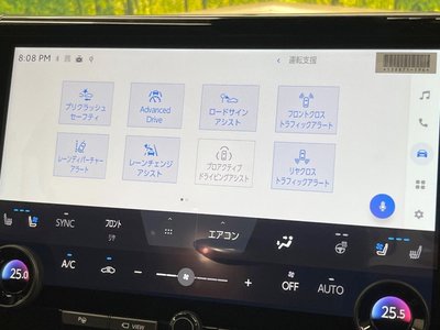 2025 TOYOTA ALPHARD 缩略图 62